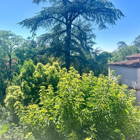 T2 Au Calme * Marssac-sur-Tarn